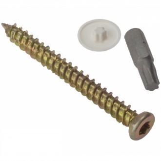 Concrete Frame Screws