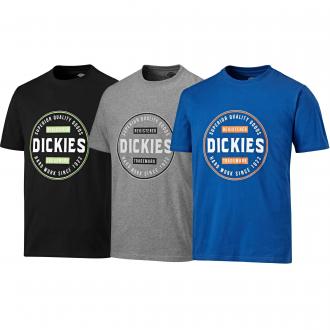 Dickies Newdale T-shirt
