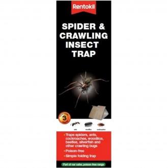 Insect trap on sale